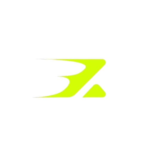BrainX